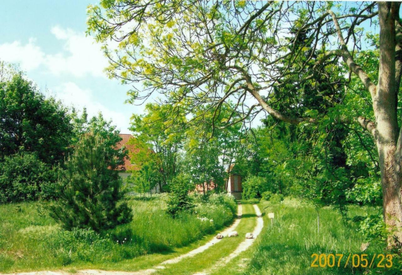 Gutshaus Alt-Jargenow Apartamento Alt Jargenow Exterior foto